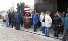 2012_PRIMAVERA04.JPG