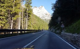 cortina 2017 42 rid